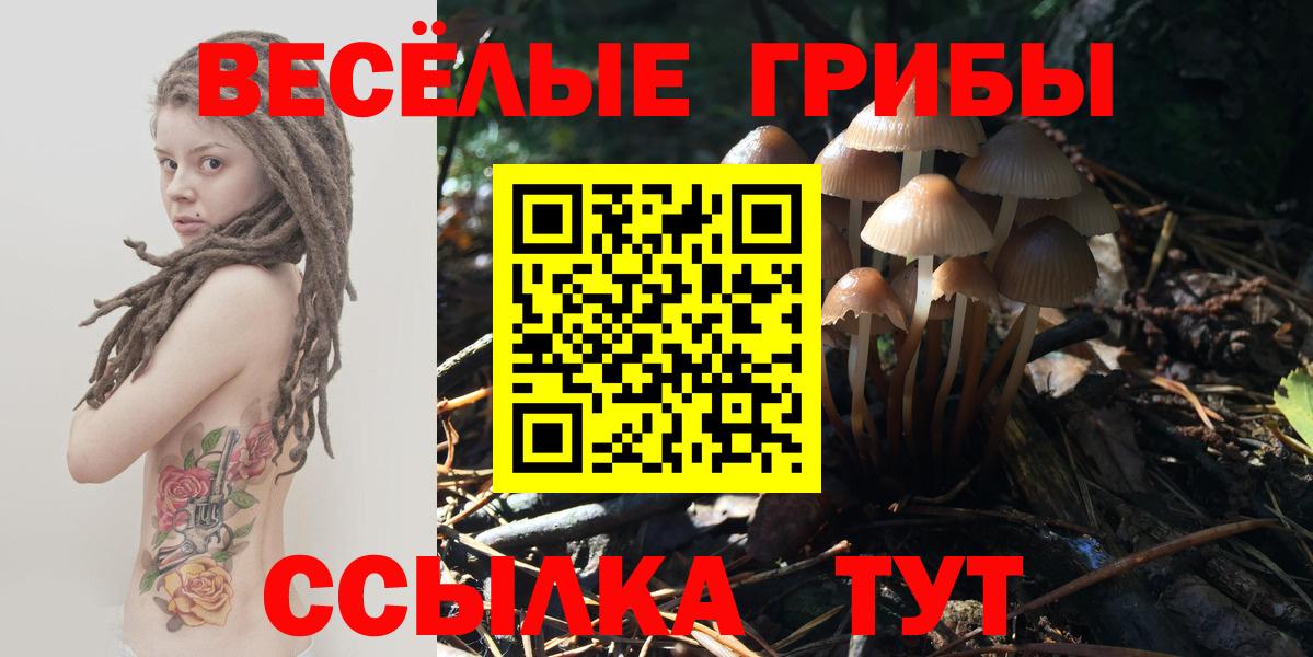 Камышлов  Галлюциногенные грибы GOLDEN TEACHER  Вход с VPN 