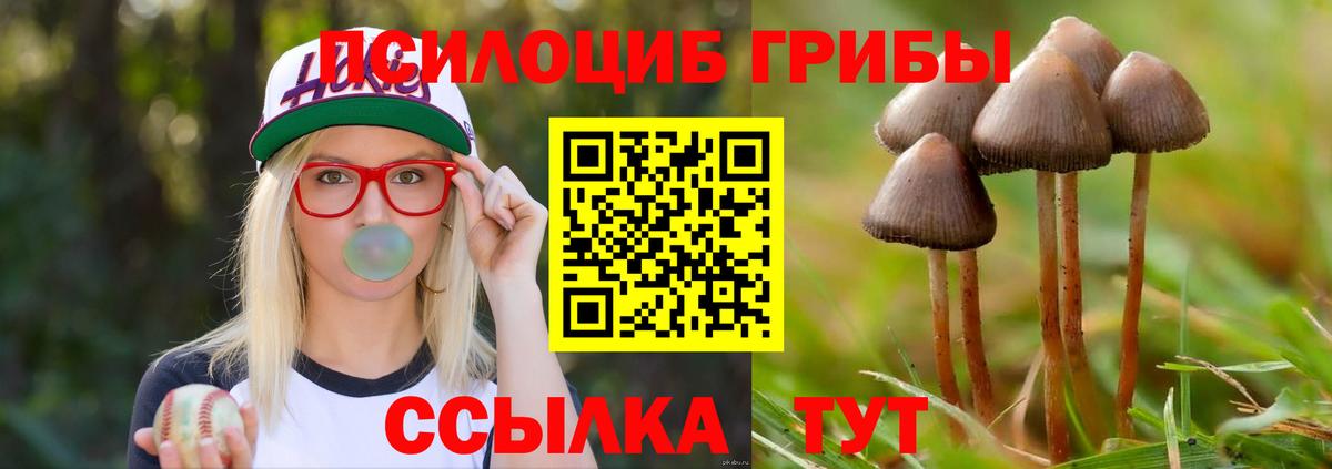 Галлюциногенные грибы прущие грибы Камышлов